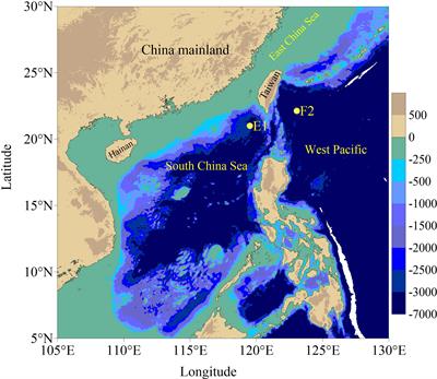 Slow-sinking particulate organic carbon and its attenuation in the mesopelagic water of the South China Sea